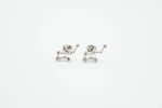 arion gemini silver earrings