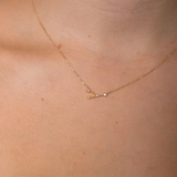 Cancer Necklace Jun 21. - Jul 22.