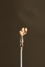 Sphora