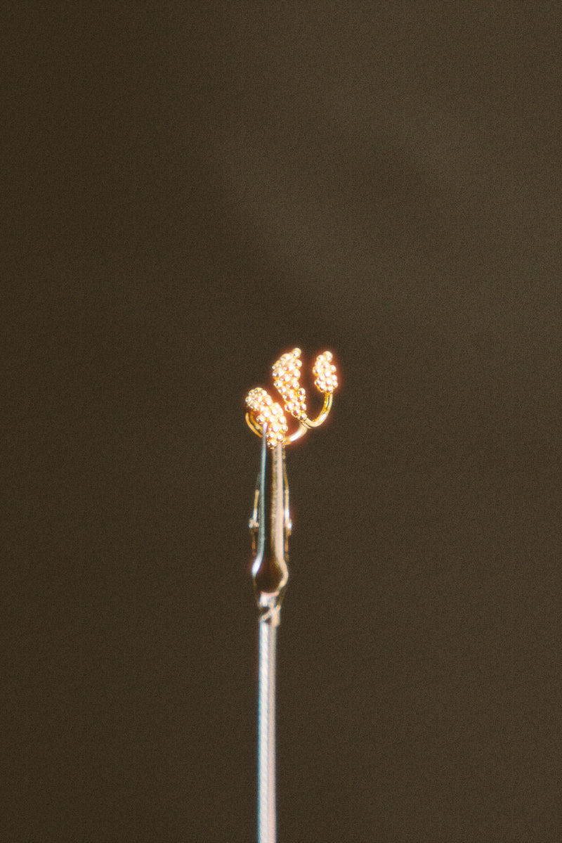 Sphora