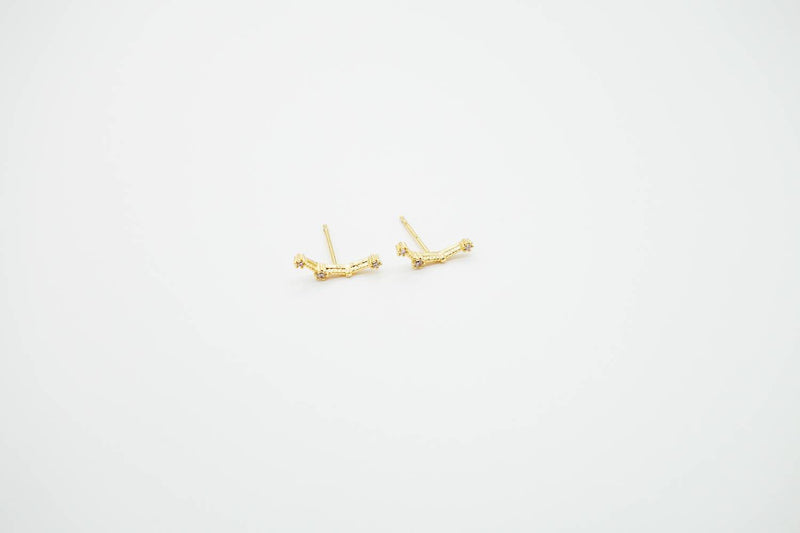 Arionjewelry Aquarius Zodiac earring 