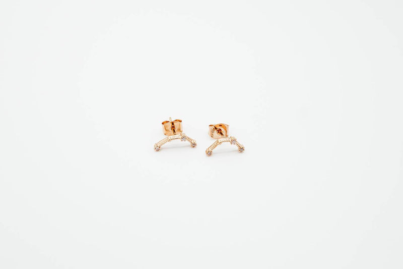 Arion Aquarius rosegold earrings