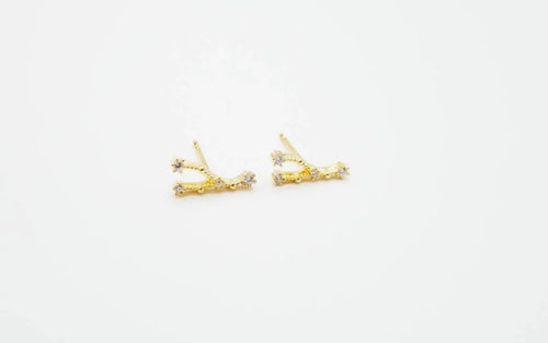 Arion jewelry Cancer Zodiac earrings