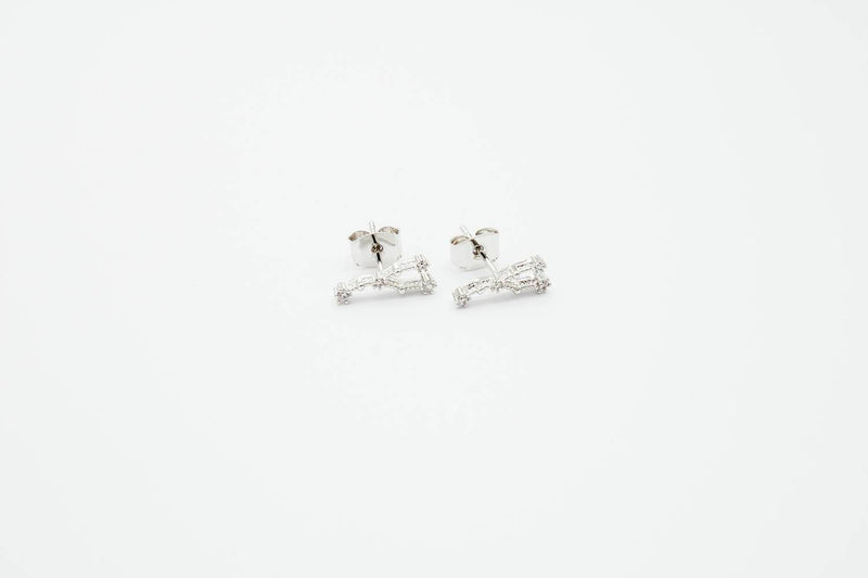 arion jewelry sterling silver zodiac earrings