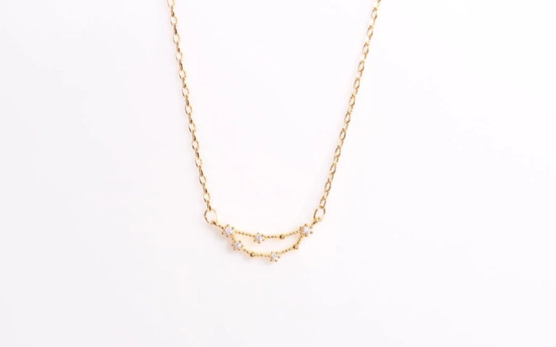Arion jewelry zodiac capricorn gold plated necklace