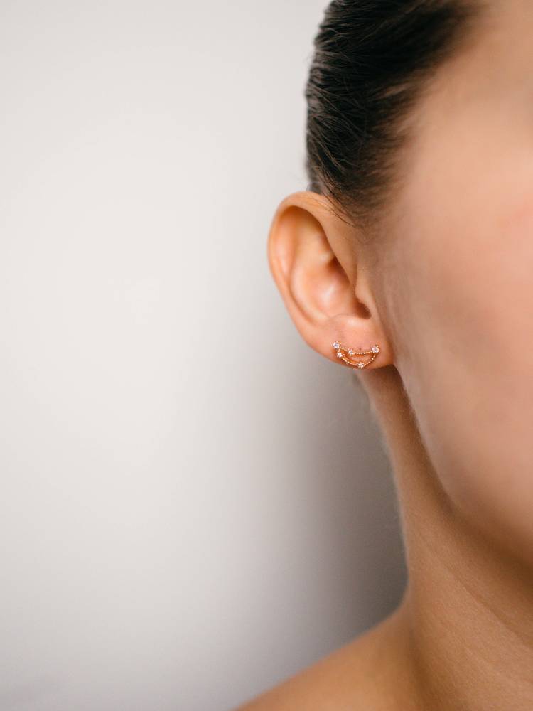 Arion jewellry Capricorn zodiac ear stud earrings