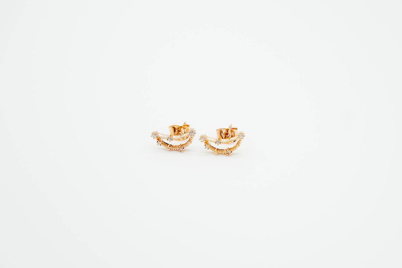 Arionjewelry Capricorn earrings gold plated sterling silver