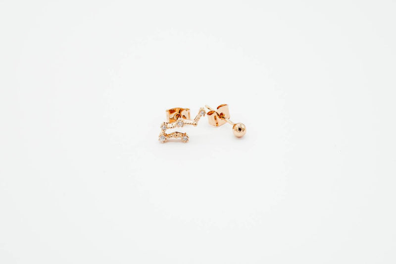 arion zodiac earrings