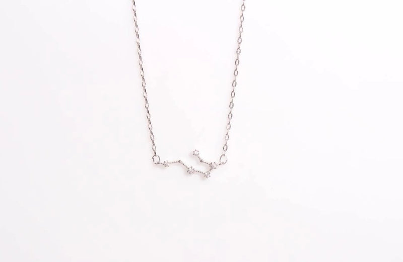 Arion silver necklace