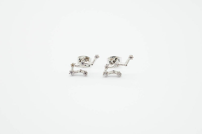 arion gemini silver earrings