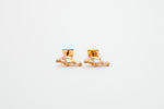Zodiac Earrings Rosegold (Summer Sale)