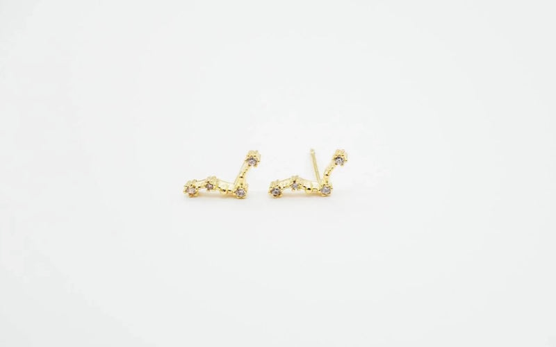 Pisces Horoscope Earrings Silver gold plated 