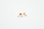 rosegold asymmetric earrings with simple stud and pisces constellation earring
