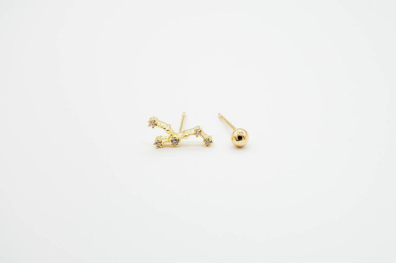 arion jewellry earring