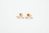 Zodiac Earrings Rosegold (Summer Sale)